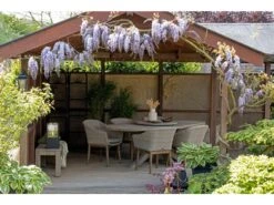 ROUGH-Y Ellips Gartentisch 240x120cm -Schemel Store 023be16ac478c60dceb3553c4047bfa19b4f0182 124093 sa01 fa2pckfm3qlgcafc