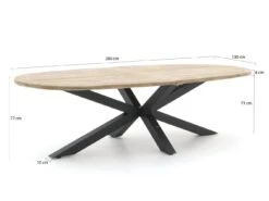 ROUGH-Y Ellips Gartentisch 280x130 Cm